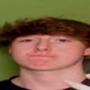 Meet your Posher, Paloma